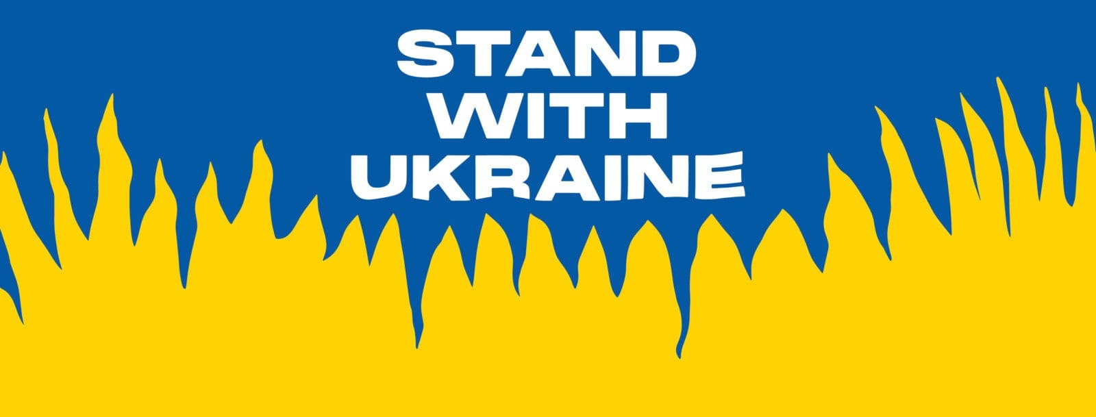 The war in Ukraine