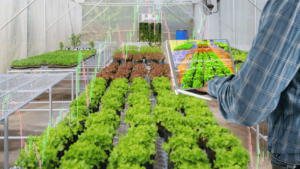 greenhouse using iot to monitor growth of plants