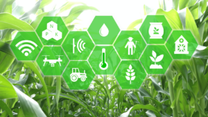 smart agriculture using iot